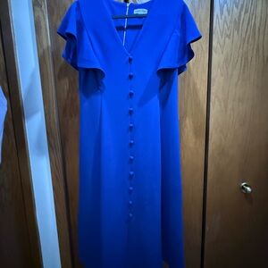 Calvin Klein Royal Blue Midi Dress